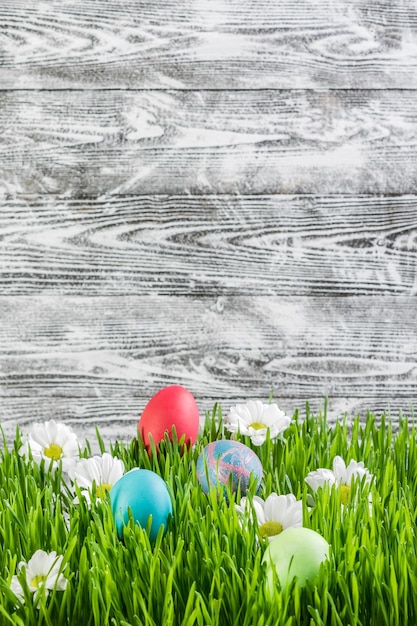 Foto uova di pasqua in erba con fiore, fondo in legno