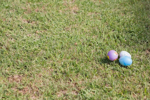 Easter eggs on the grass