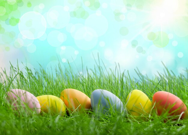 Easter eggs on grass