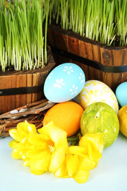 Easter eggs and green grass closeup