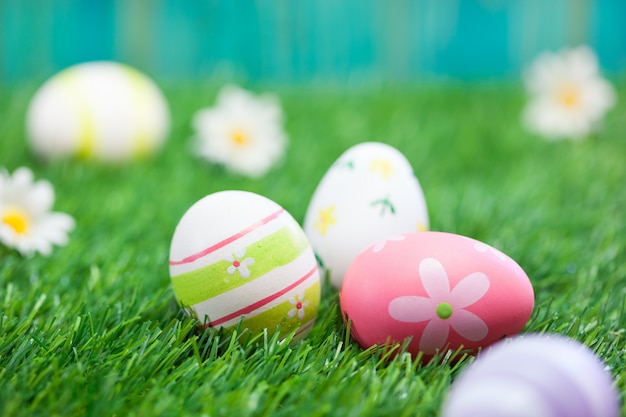 Easter Eggs on a green grass