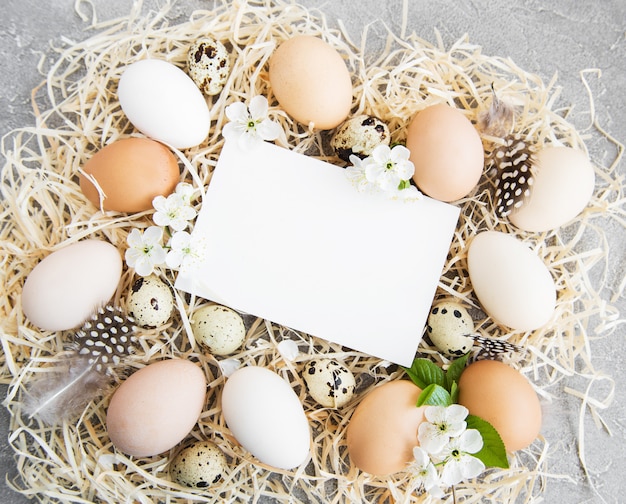 Foto uova di pasqua e biglietto di auguri