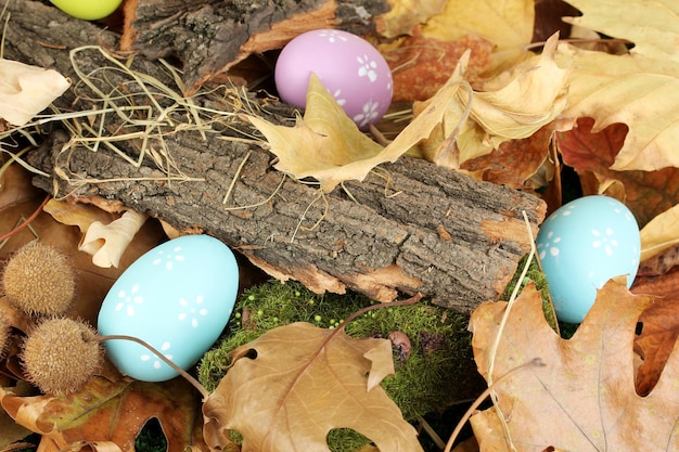 Easter eggs hidden in leaves