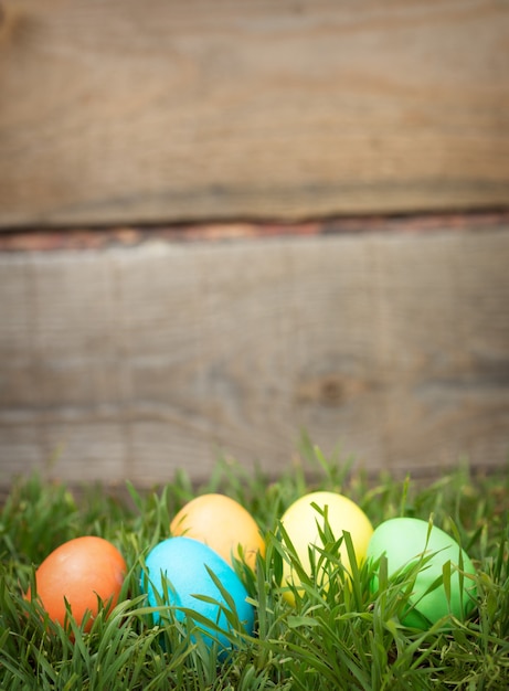 Easter eggs hiding in the grass