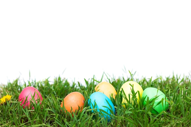 Easter eggs hiding in the grass