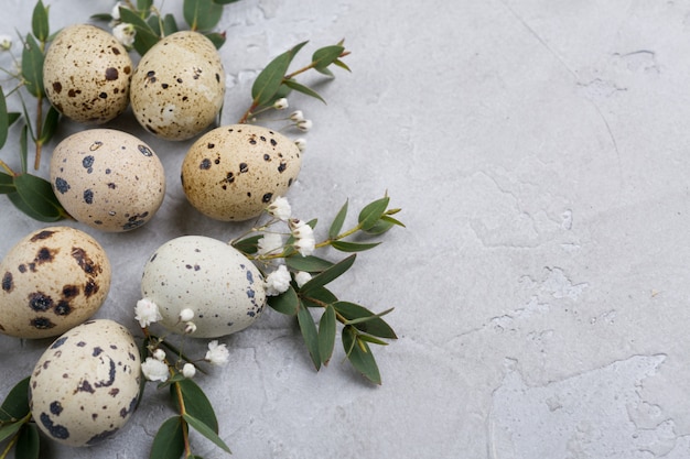 Easter eggs and leaf sprigs of eucalyptus