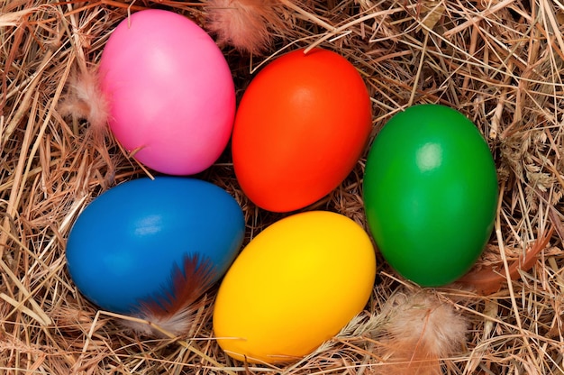 Easter eggs in the natural nest of hay