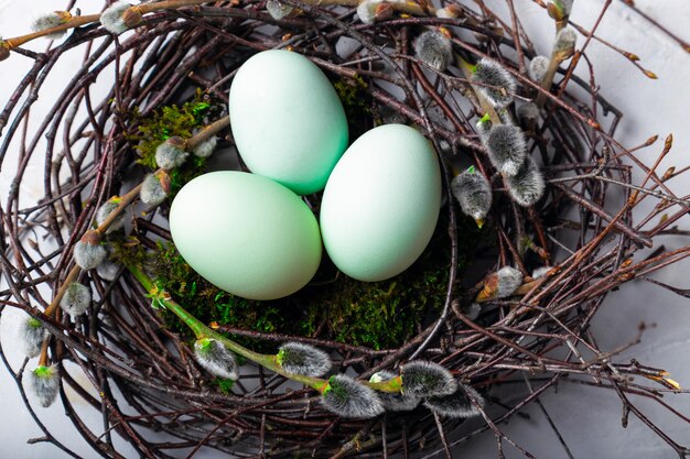 Easter eggs in natural nest with moss and willow twigs on white concrete background. Top view.