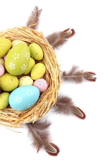 Easter eggs in nest and decorative feathers isolated on white