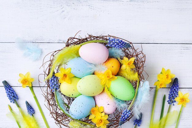 Easter eggs in nest feather and spring flowers on white table top view Holiday card or banner