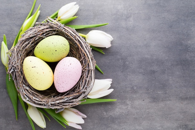 Easter eggs in the nest on a gray background. Spring greeting card.