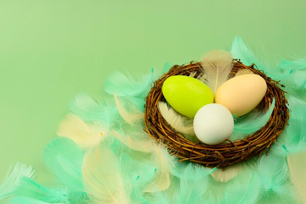 Easter eggs in a nest on a green background copy space Easter wallpaper