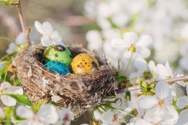 Uova di pasqua in nido all'aperto