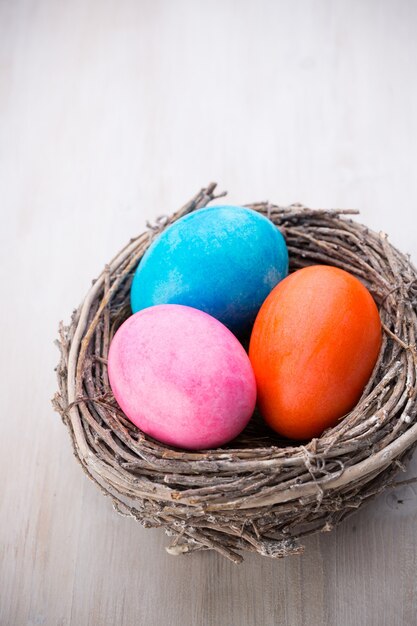 Easter eggs in the nest. Spring discount card.