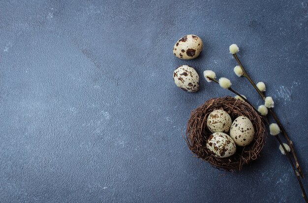 Easter eggs in the nest with willow on blue stone concrete table background. 