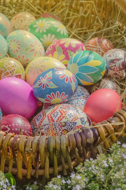 Easter eggs in nest