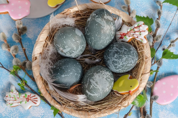 Easter eggs painted gray in a nest with willow and gingerbread on a blue background