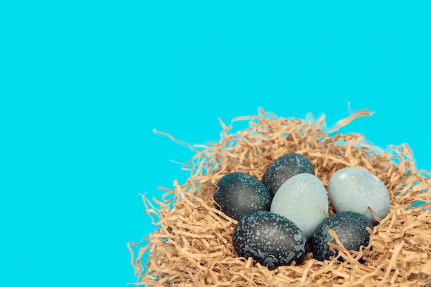 Фото Пасхальные яйца окрашены в космический цвет, лежат в гнезде на синем фоне с пространством для текста