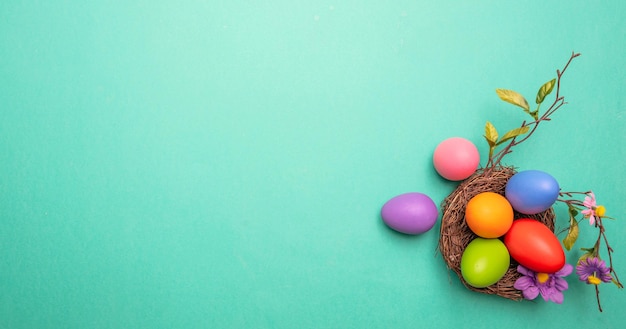 Easter eggs pastel colors painted in a nest green background top view