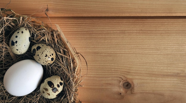 Easter eggs Quail and chicken eggs in a nest on a background of wooden boards Space for text