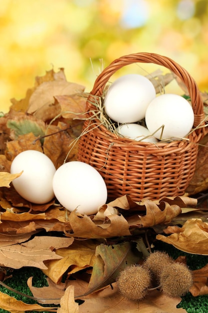 Easter eggs in wicker basket hidden in leaves