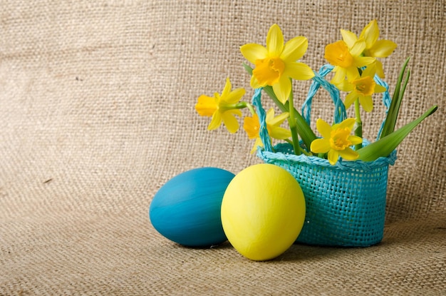 Easter eggs in a wicker basket with yellow daffodils