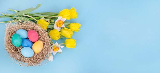 Easter eggs with a bouquet of yellow tulips and daffodils on a blue background, with copy space