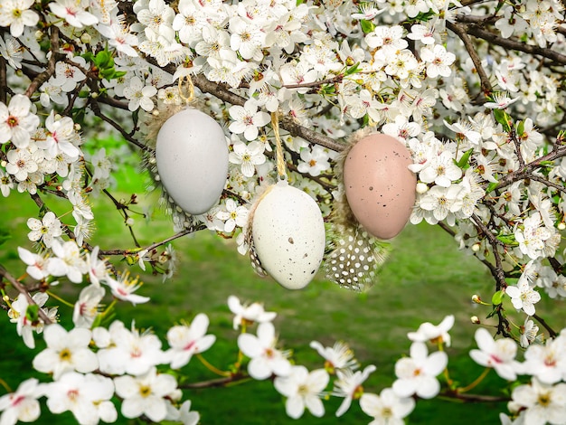 Foto uova di pasqua con piume su un ciliegio in fiore sullo sfondo della pasqua con bellissimi fiori primaverili