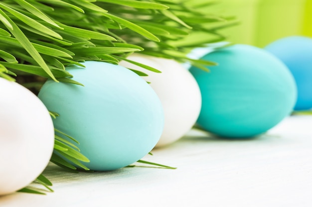 Uova di pasqua con erba verde