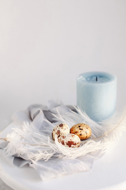 Easter eggs with white feather on white and gray background. Copy space. Happy Easter holiday, front and top view.