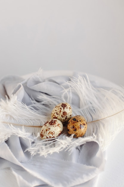 Easter eggs with white feather on white and gray background. Happy Easter holiday, front and top view.