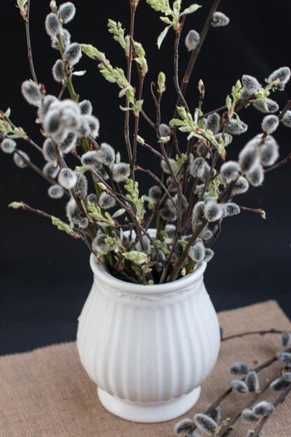 Фото Пасхальная пушистая ива в вазе пасхальный весенний праздник