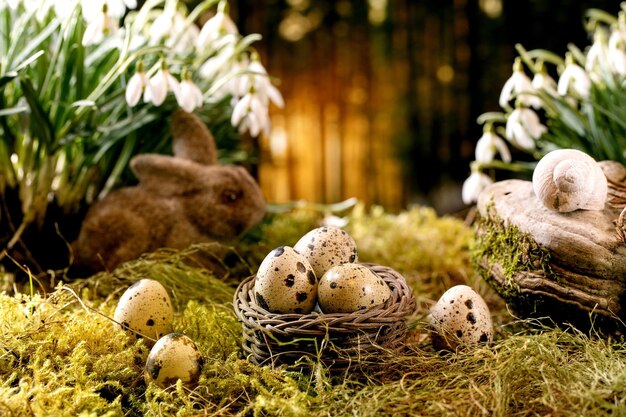 Easter greeting Basket with quail eggs and bunny rabbit on moss in spring forest with beautiful first blossom white snowdrops flowers in wild forest at background Easter holidays creative layout