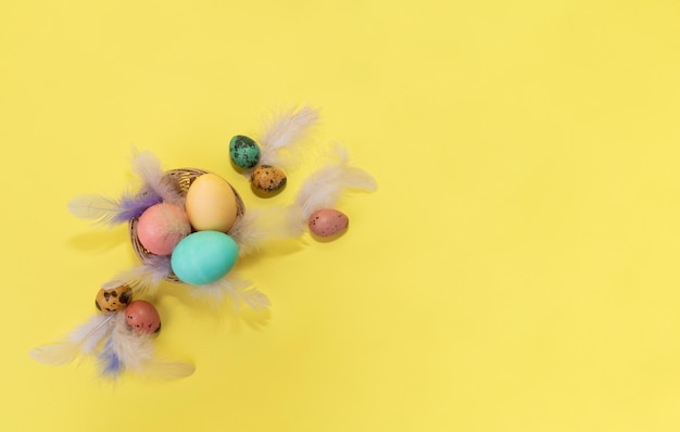 Easter holiday concept. Easter picture, colorful eggs in nest  and feather on yellow background