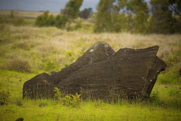 Easter island