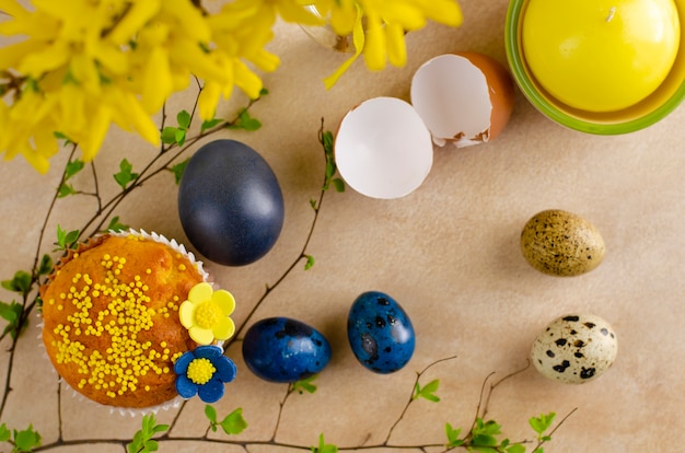 Easter Muffins, yellow flowers  and blue easter quail eggs 