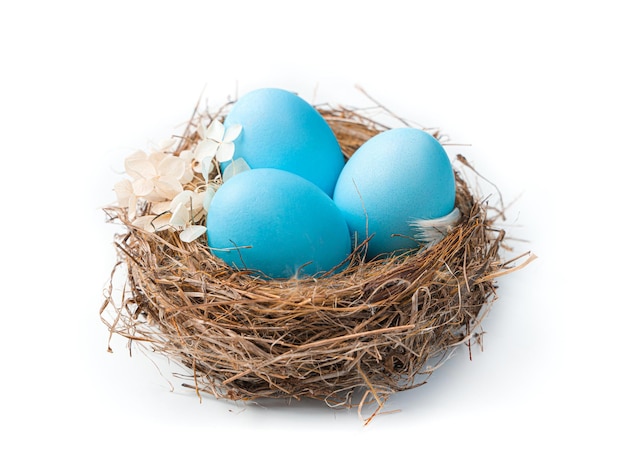 Пасхальное гнездо с голубыми яйцами и цветком на белом фоне. Пасхальные яйца. Вид сбоку, крупный план.
