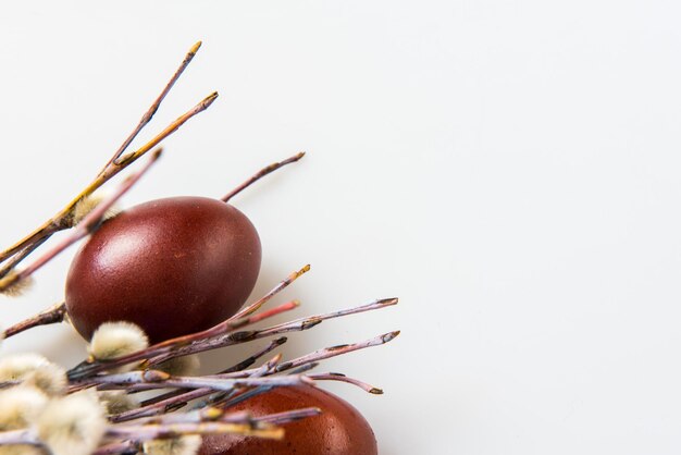 Easter painted brown eggs and willow isolated on a white background. Easter day.