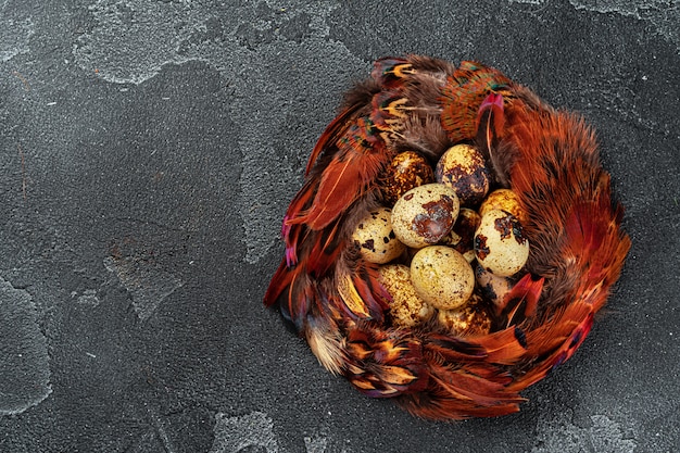 Easter quail eggs in feathers on dark background