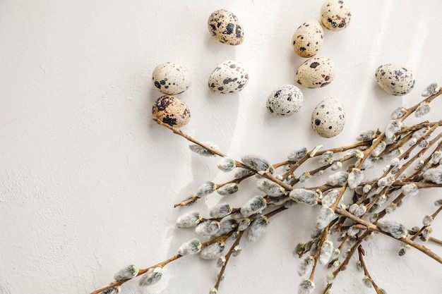 Easter quail eggs in nest and willow branch on white background