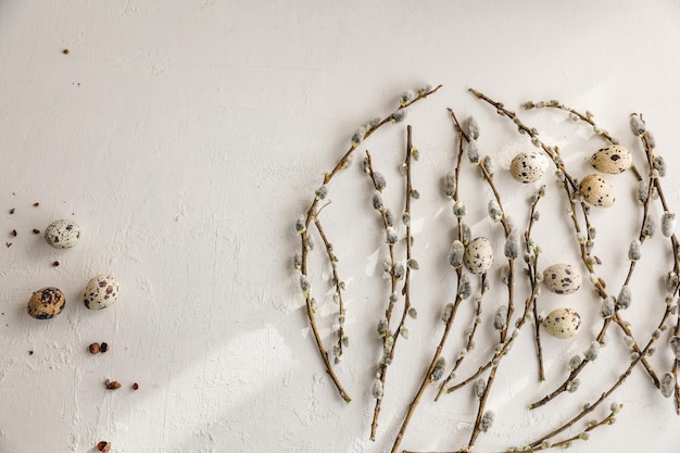 Easter quail eggs in nest and willow branch on white background