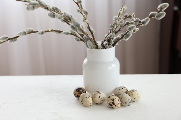 Easter quail eggs in nest and willow branch on white background