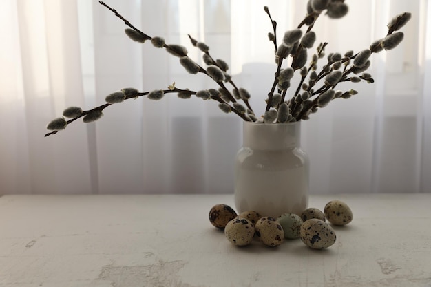 Easter quail eggs in nest and willow branch on white background