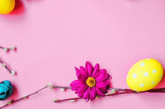 Easter quail eggs, spring flowers and willow on pink background