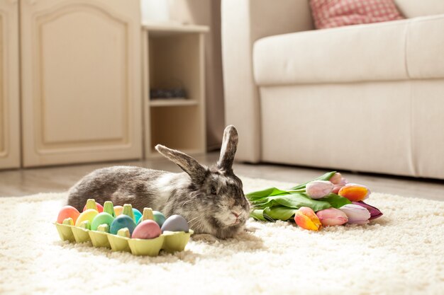 Easter rabbit in the room on a carpet with colorful eggs