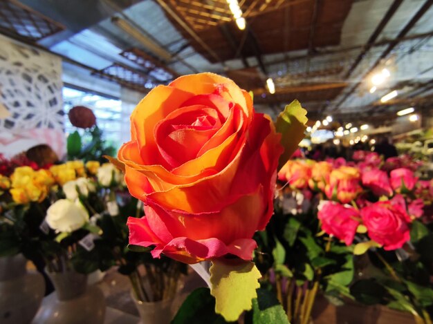 Easter rose flower and decorations