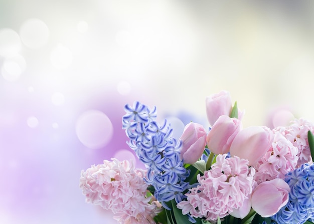 Easter scene with fresh tulips and hyacinth flowers blue and pink bouquet over neutral gray background