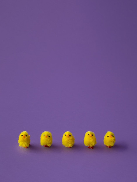 Easter and spring concept 2022 funny yellow chickens in row\
easter purple background creative easter arrangement