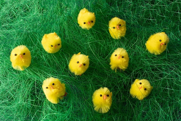 Easter and spring concept 2022 Funny yellow chickens in row on green grass Easter purple background Creative easter arrangement