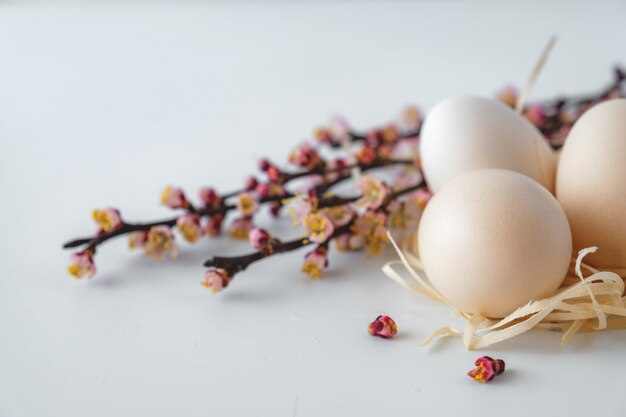 Easter spring decorative composition  with easter eggs pink cherry branch.